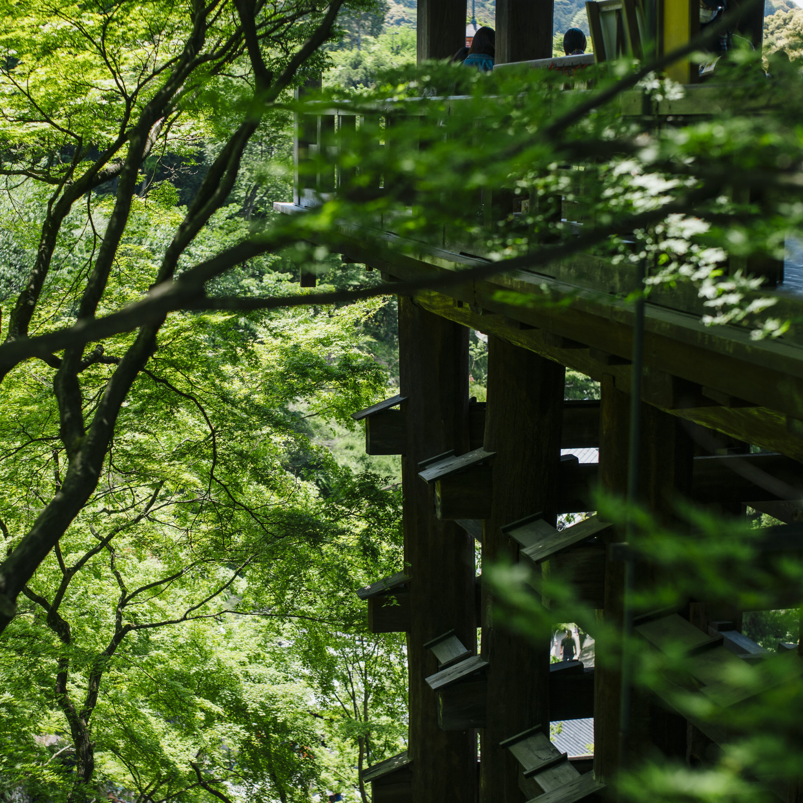 FEEL KIYOMIZUDERAの写真集「INSIGHT」新緑の清水寺