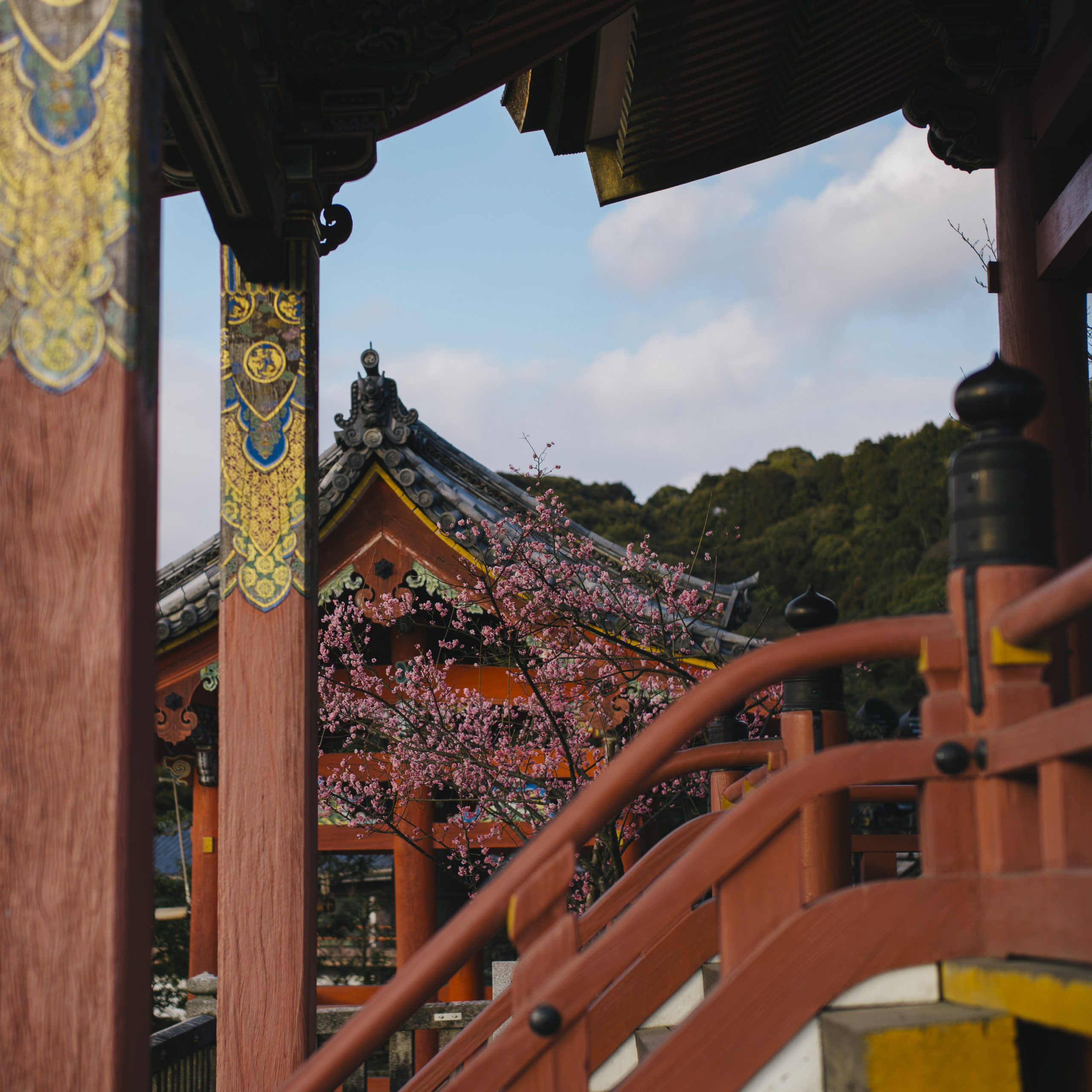FEEL KIYOMIZUDERAの写真集「INSIGHT」春の清水寺